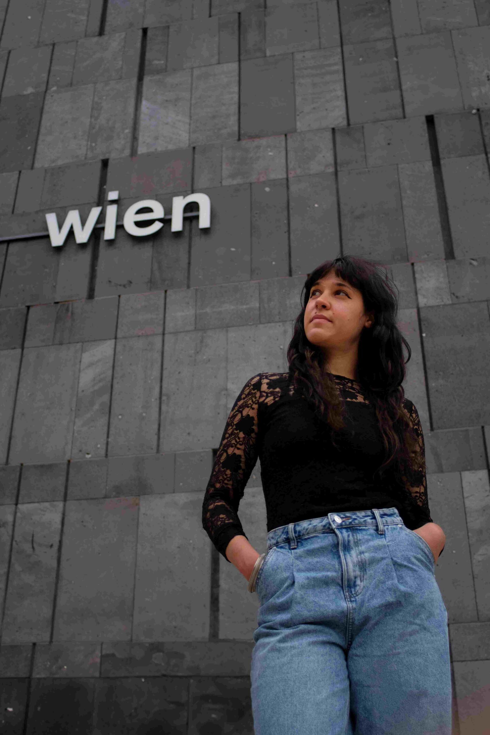 Private Vienna Walking Tour with licensed Local Guide and Art Historian