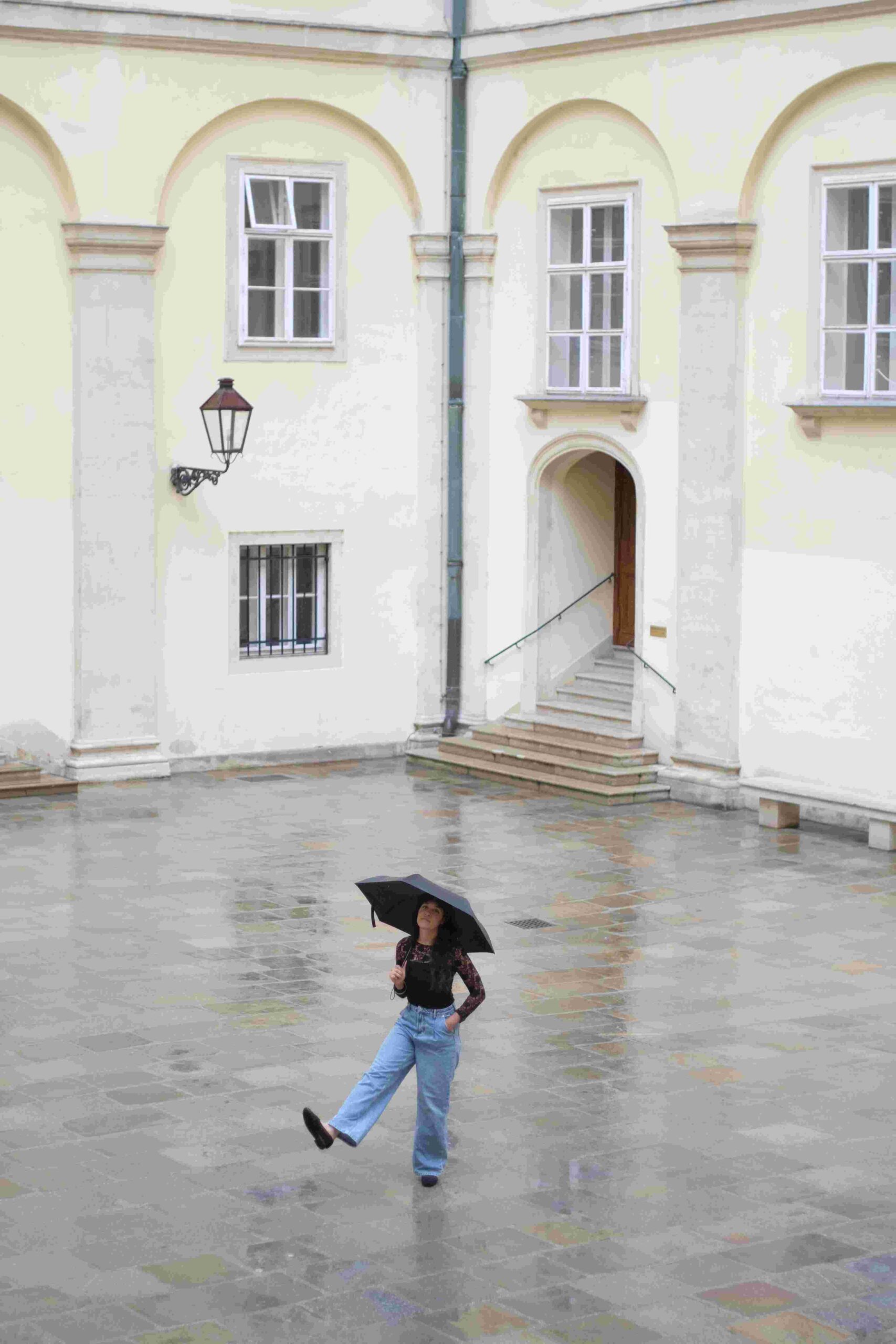 Private Vienna Walking Tour with licensed Local Guide at Hofburg Palace